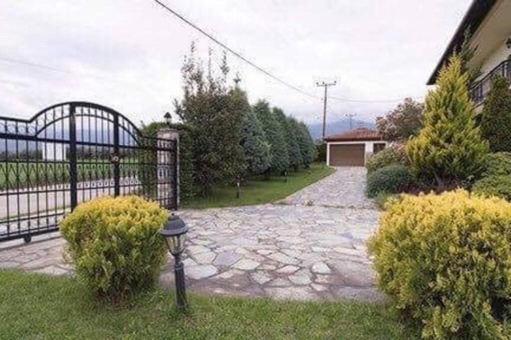 Olympus Leptokaria'S Luxurious Villa Exterior foto